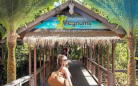Airlie Beach Magnums - Adults Only